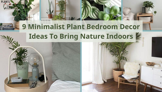 9 Minimalist Plant Bedroom Decor Ideas To Bring Nature Indoors