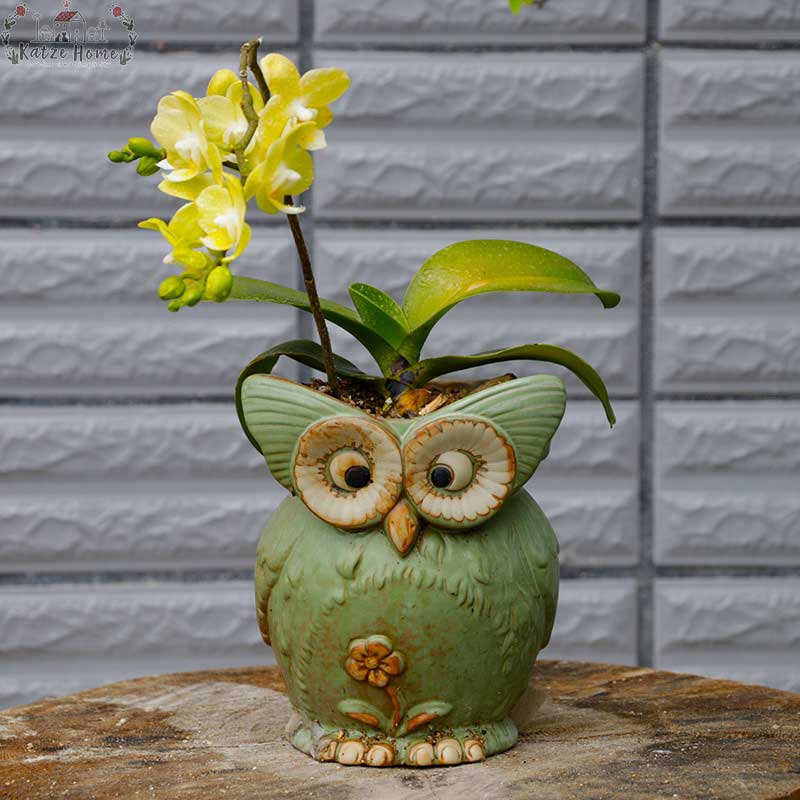Farmhouse Ceramic Owl Plant Pot