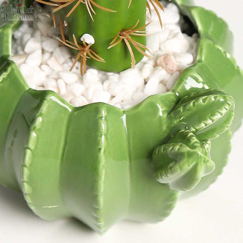 Indoor Green Cactus Pot Planter