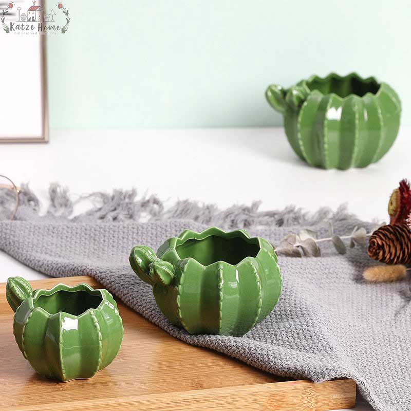 Indoor Green Cactus Pot Planter