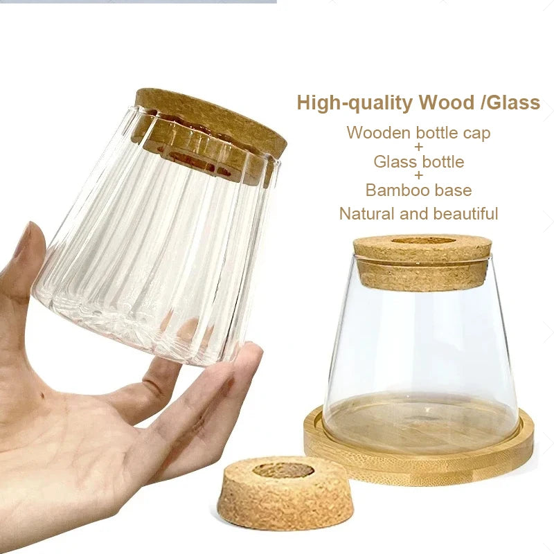 Nordic Simple Transparent Glass Vases