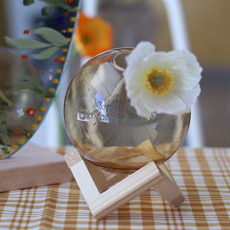 Small Hydroponic Flower Round Glass Vase